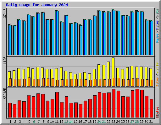Daily usage for January 2024