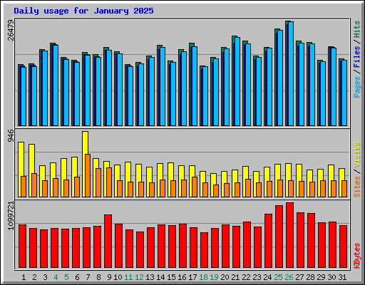 Daily usage for January 2025