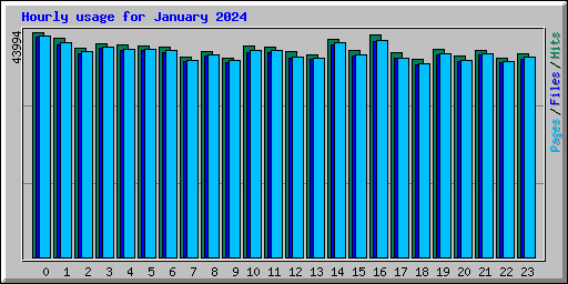 Hourly usage for January 2024