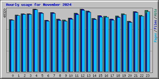 Hourly usage for November 2024
