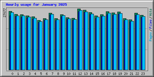 Hourly usage for January 2025